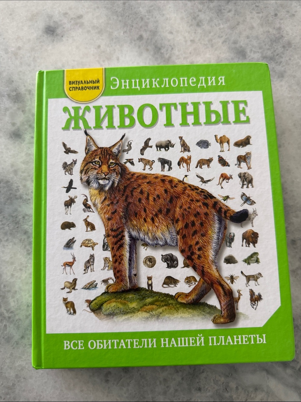 Animals Encyclopedia - Green Hardcover Book in Russian